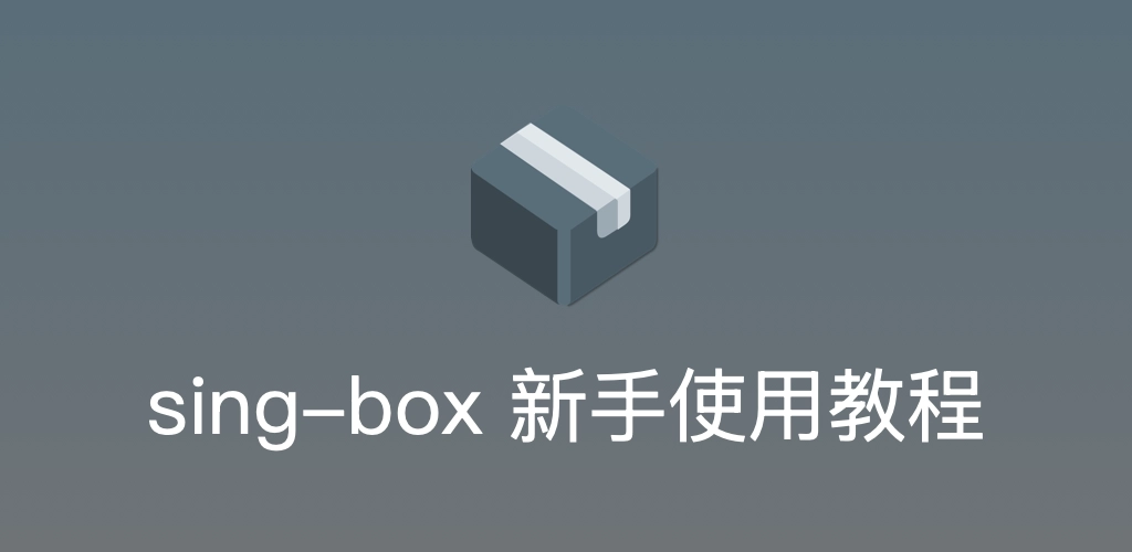 sing-box 最新配置教程说明图